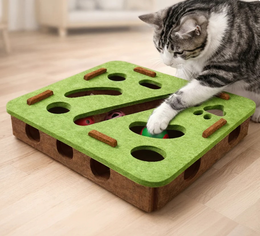 PurrSmart view